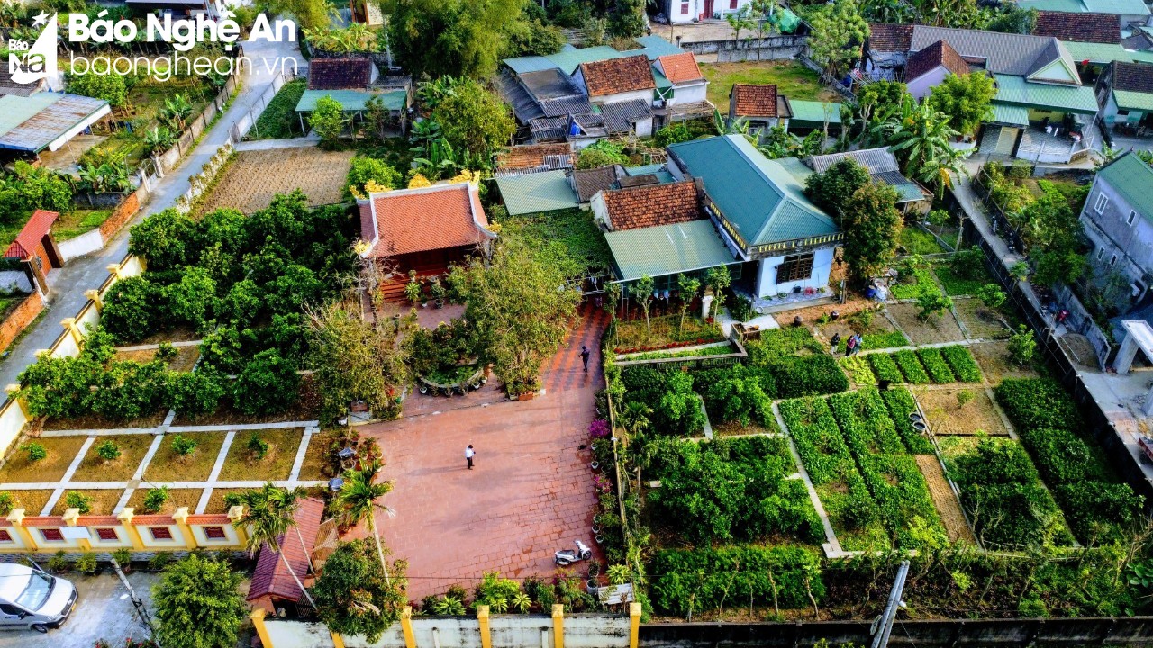 Vườn hộ gia đình bà Cao Thị Hợi, ông Hoàng Văn Thái, xóm Kim La, xã Nghi Long, huyện Nghi Lộc đạt giải Nhất
